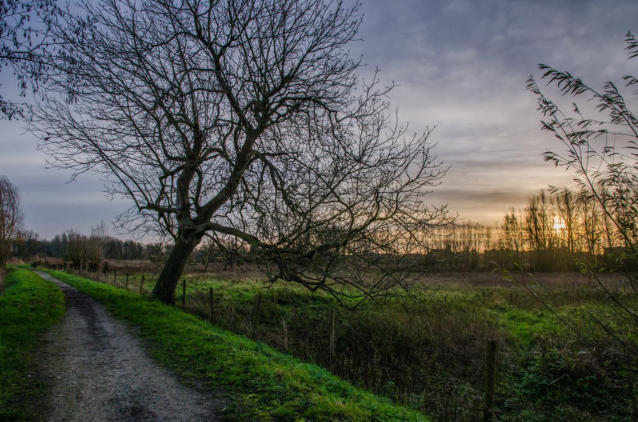 De Koolputten Waasmunster Exteriér fotografie